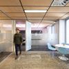 Acoustic  Timber™ - Image 4
