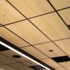 Acoustic  Timber™ - Image 3